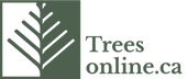 Treesonline.ca logo