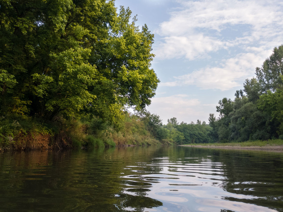 À quoi servent les bandes riveraines ?