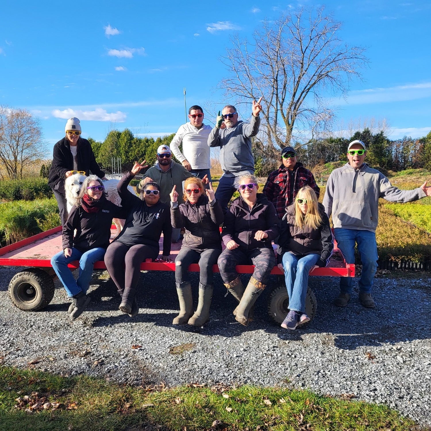 Équipe Arbresenligne.com