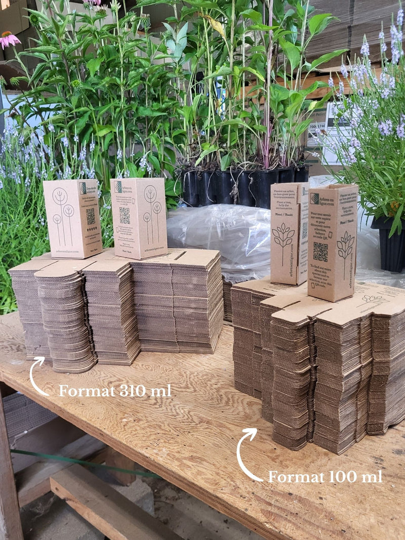 Gift Boxes for Plant Gifts – Eco-Friendly Event Packaging